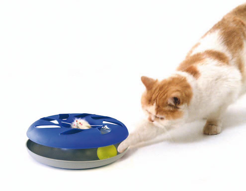 swisspet Katzenspielzeug Catsy Roundable