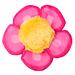 Yeowww Catnip Daisy's Flower Tops-Pink
