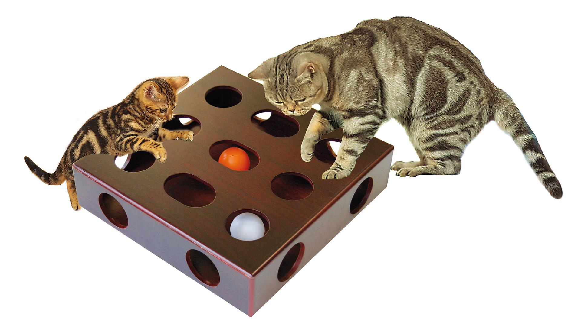 swisspet Katzenspielbox mit Ball