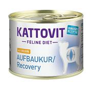 Kattovit reconvalescence 185g