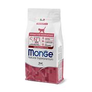 Monge Cat Kitten Monoprotein Boeuf