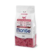 Monge Cat Kitten Monoprotein Rind, 1.5kg