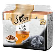 Sheba Fresh & Fine Volaille, 15x50g