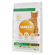 IAMS Adult Lamb 10kg
