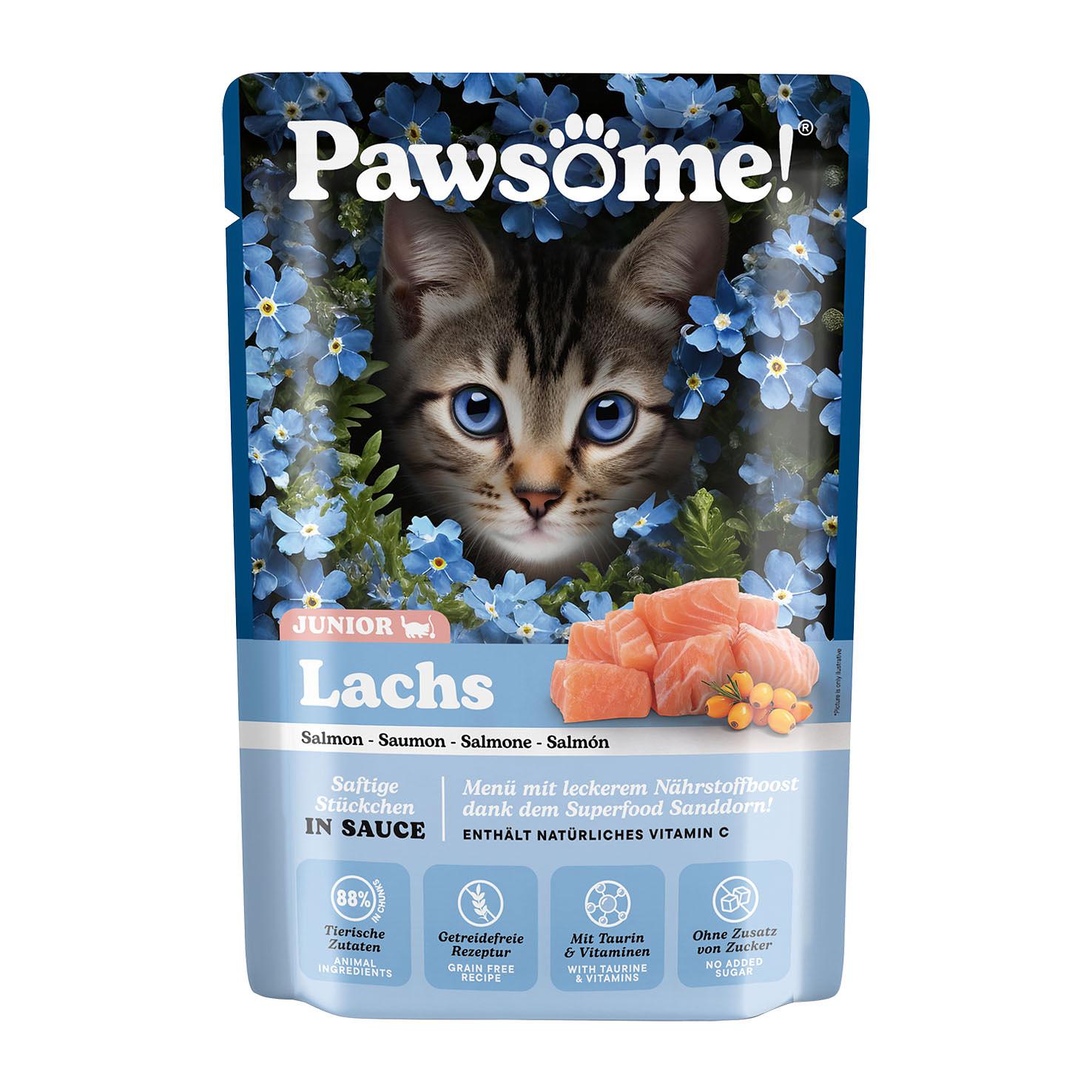 Pawsome Kitten saumon