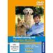 Kosmos Hundetraining mit M.Rütter mit DVD