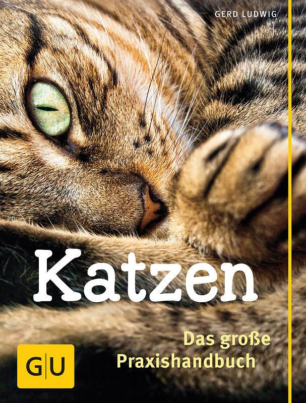 GU Das grosse Praxishandbuch Katzen