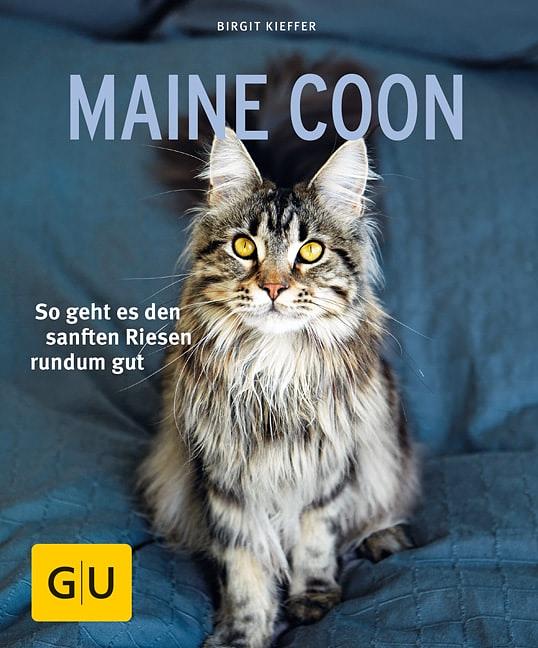 GU Maine Coon