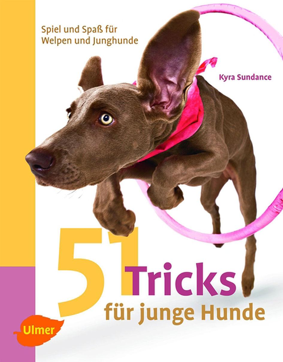 Ulmer 51 Tricks für junge Hunde