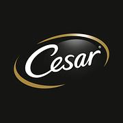 Cesar